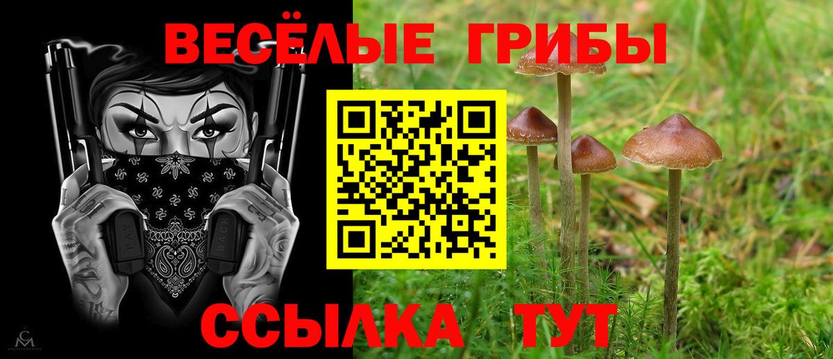 Большой Камень  Галлюциногенные грибы Psilocybine cubensis  Вход с VPN  Псилоцибиновые грибы Psilocybine cubensis 