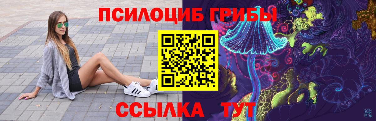 Галлюциногенные грибы прущие грибы  Большой Камень  Псилоцибиновые грибы MAGIC MUSHROOMS 