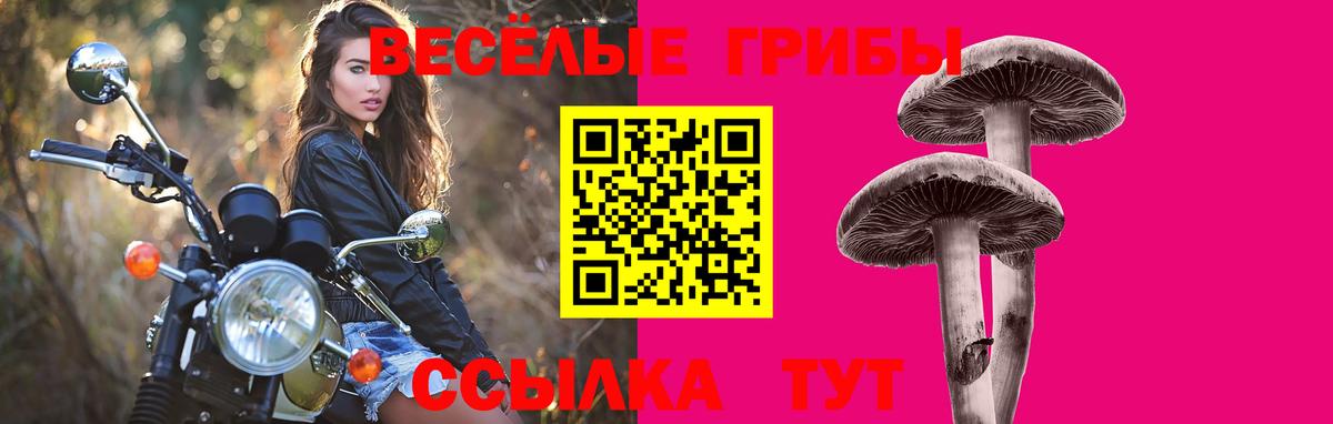 Галлюциногенные грибы Cubensis Большой Камень